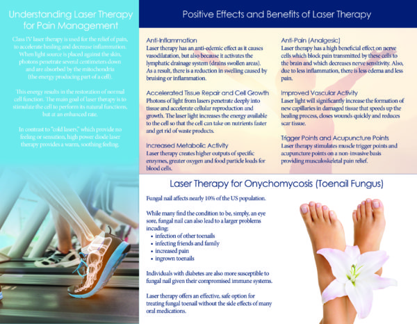Laser-Brochure-inside-spread-ZFT-logo-600×466